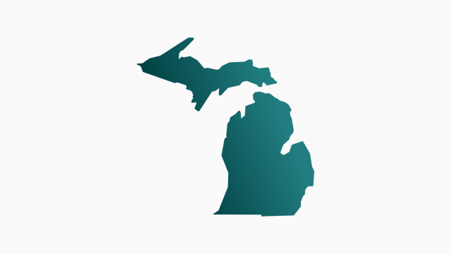 Michigan Employment Discrimination Claims